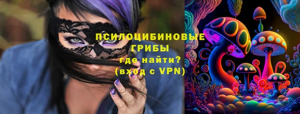 тгк Кинешма
