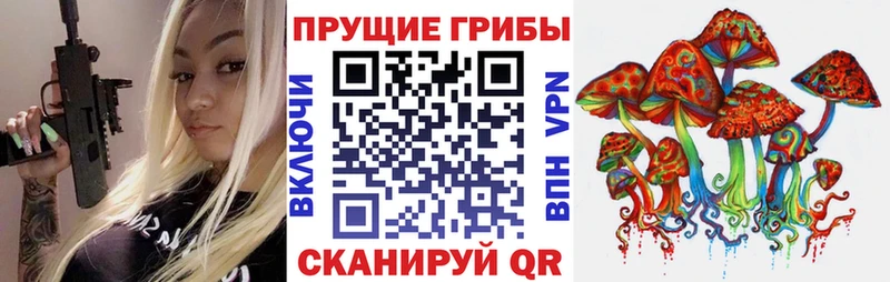 Купить  Торжок  Галлюциногенные грибы Magic Shrooms 