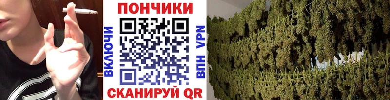 Купить закладки  Торжок  Бошки Шишки MAZAR 